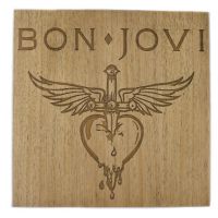 quadro-bom-jovi-